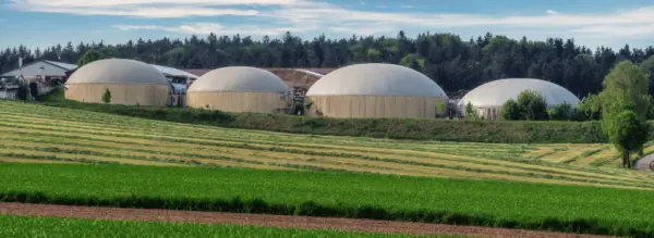 Förderung Biogasanlage